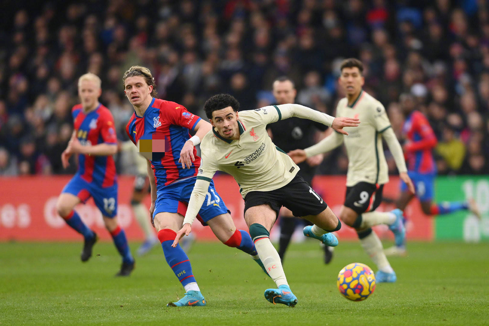 每位球员都 每位球员都