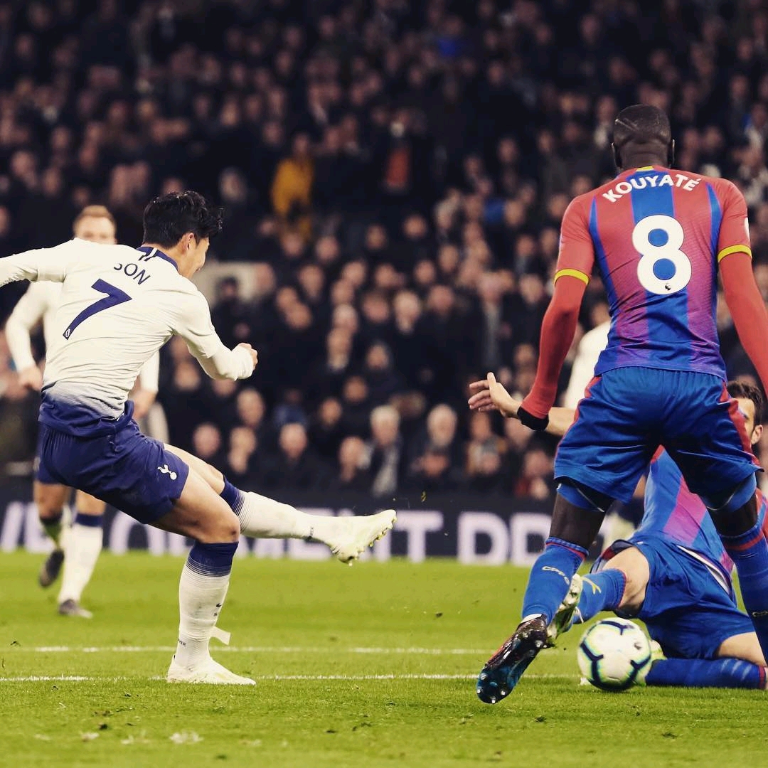 迪波在训练 迪波在训练